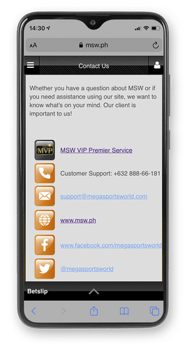 MSW-mobile-support-800x500sa