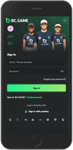 Mobile screenshot of the BC.Game login page