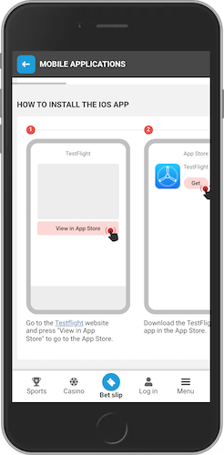 The mobile screenshot of iOS app installation process 2