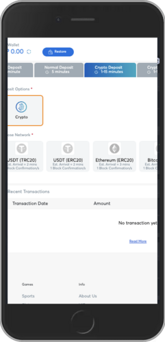 Screenshot of BK8 crypto payment page
