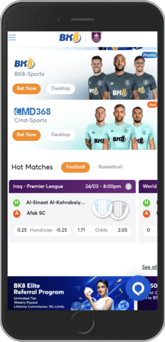 Screenshot of BK8 sports page