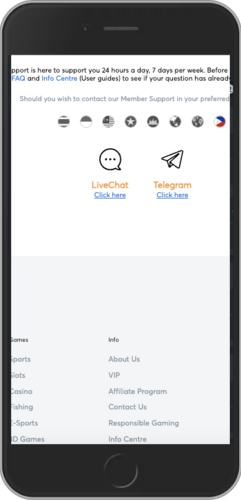 Screenshot of BK8 support options page